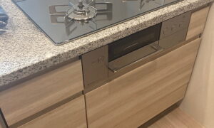 リンナイ製ビルトインコンロ デリシアRBC4WNGN94(STPM)の取替工事